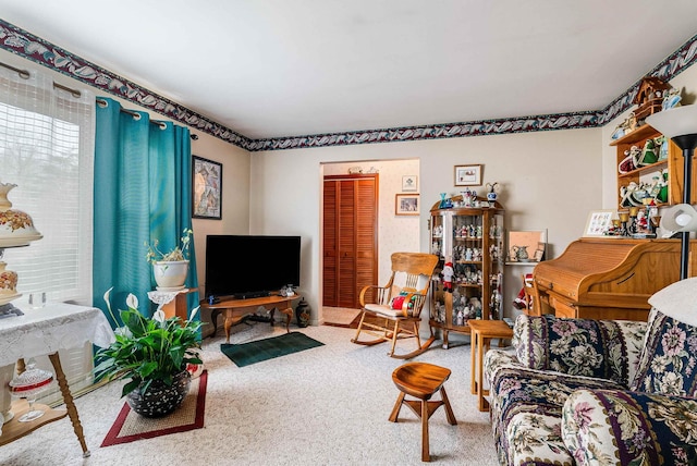 14335 S E Side Hwy, Grottoes, VA 24441 - view of carpeted living area