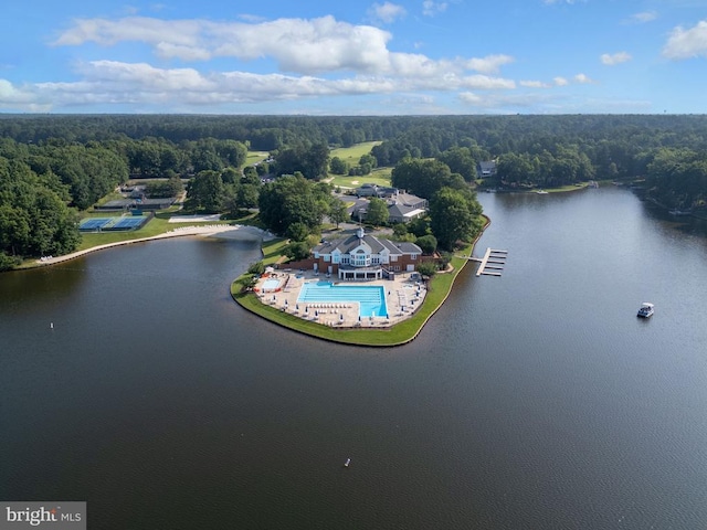 11302 Radcliff Ter, Spotsylvania, VA 22551 - aerial view of a forest and a nearby body of water