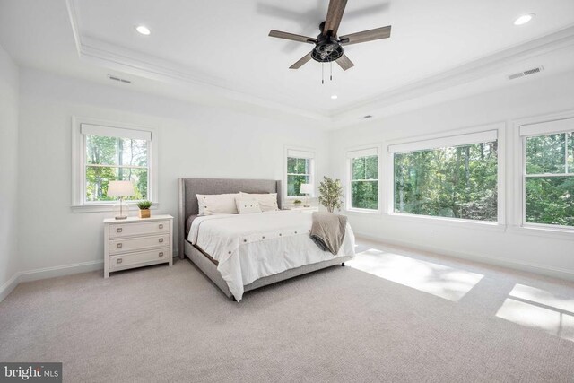 11302 Radcliff Ter, Spotsylvania, VA 22551 - bedroom with a tray ceiling, multiple windows, crown molding, light carpet, and recessed lighting