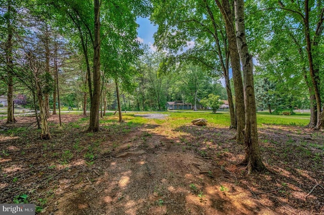 1915 Lakeview Pkwy, Locust Grove, VA 22508 - photo 16