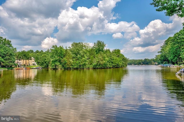 1915 Lakeview Pkwy, Locust Grove, VA 22508 - photo 1