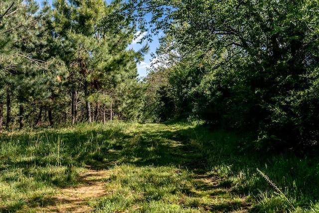 TBD Autumn Lane, Rockingham, VA 22801