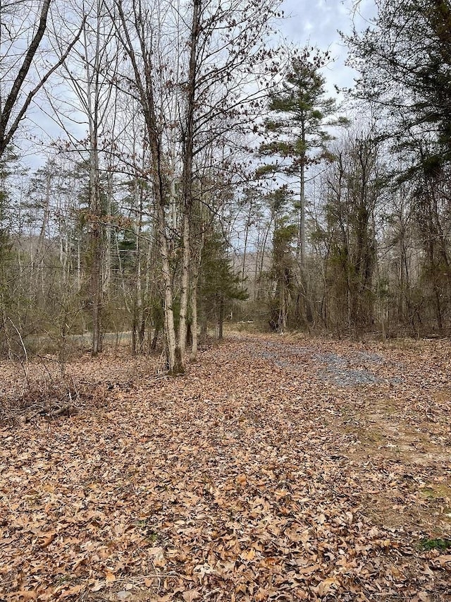 70-131 Estaline Valley Rd, Craigsville, VA 24430