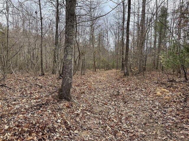 70-131 Estaline Valley Rd, Craigsville, VA 24430