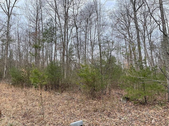 70-131 Estaline Valley Rd, Craigsville, VA 24430