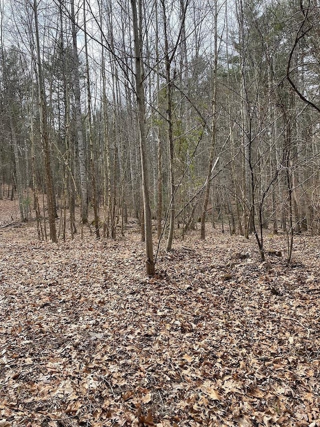 70-131 Estaline Valley Rd, Craigsville, VA 24430