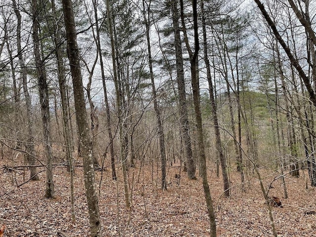 70-131 Estaline Valley Rd, Craigsville, VA 24430