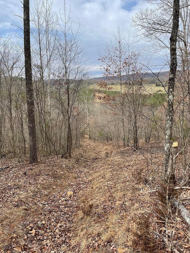 70-131 Estaline Valley Rd, Craigsville, VA 24430