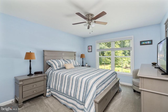 6484 Haleys Mill Rd, Spotsylvania, VA 22551 - photo 40