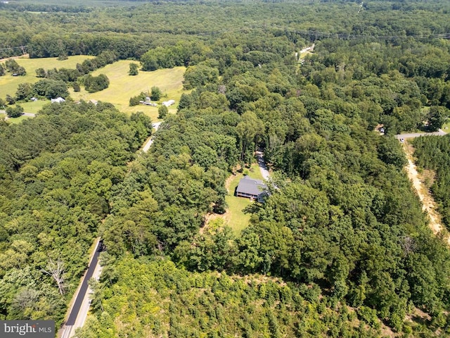 6484 Haleys Mill Rd, Spotsylvania, VA 22551 - photo 68