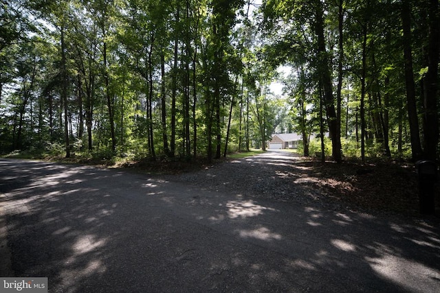 6484 Haleys Mill Rd, Spotsylvania, VA 22551 - photo 60