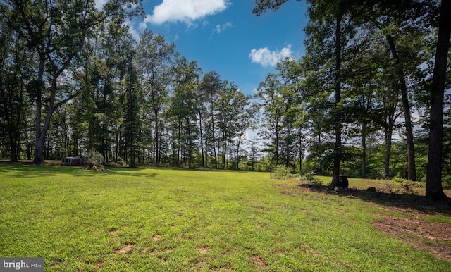 6484 Haleys Mill Rd, Spotsylvania, VA 22551 - photo 57