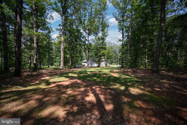 6484 Haleys Mill Rd, Spotsylvania, VA 22551 - photo 59