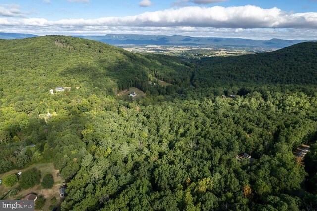 Holiday Hill Rd, Luray, VA 22835