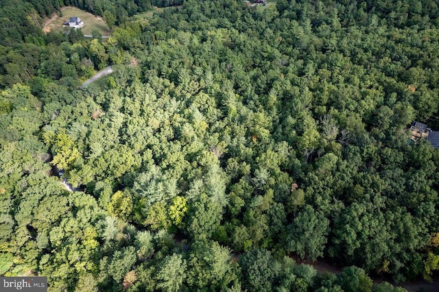 Holiday Hill Rd, Luray, VA 22835