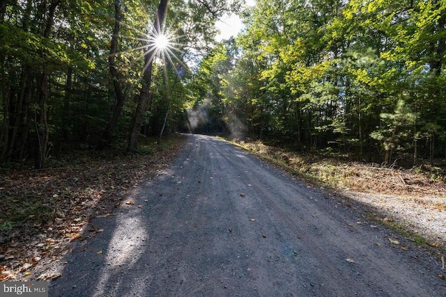 Holiday Hill Rd, Luray, VA 22835