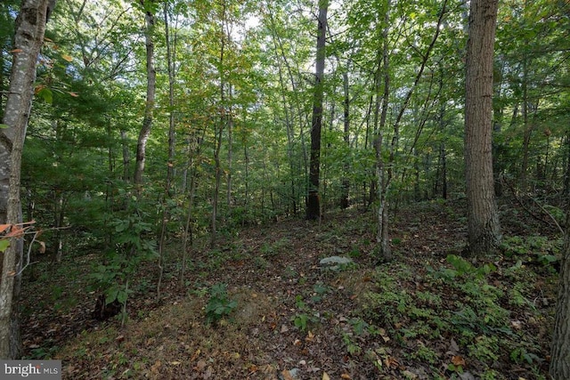 Holiday Hill Rd, Luray, VA 22835