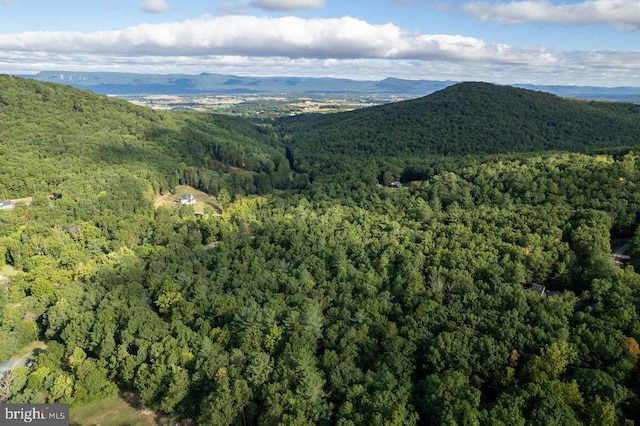 Holiday Hill Rd, Luray, VA 22835