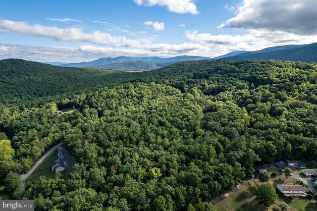 Holiday Hill Rd, Luray, VA 22835