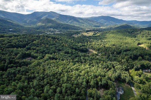 Holiday Hill Rd, Luray, VA 22835