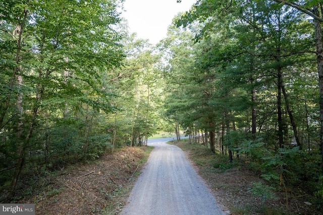 Holiday Hill Rd, Luray, VA 22835