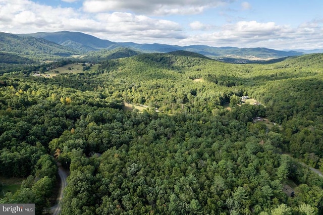 Holiday Hill Rd, Luray, VA 22835