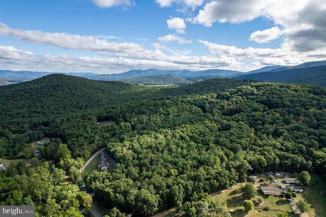 Holiday Hill Rd, Luray, VA 22835