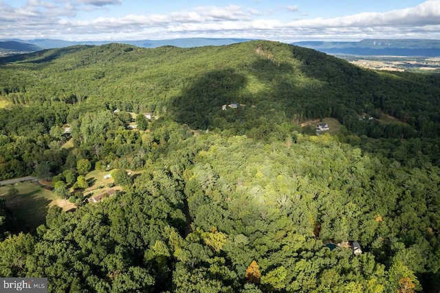 Holiday Hill Rd, Luray, VA 22835