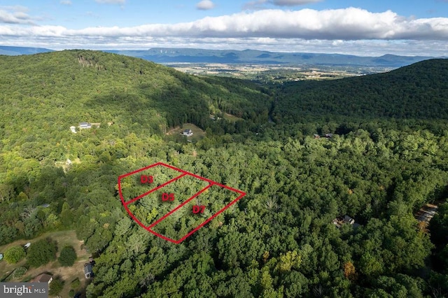 Holiday Hill Rd, Luray, VA 22835