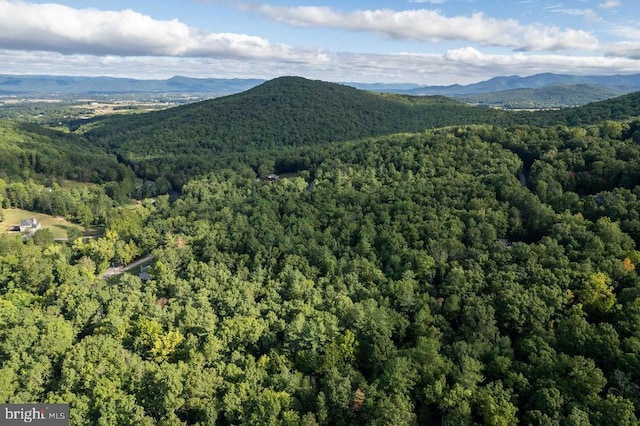 Holiday Hill Rd, Luray, VA 22835