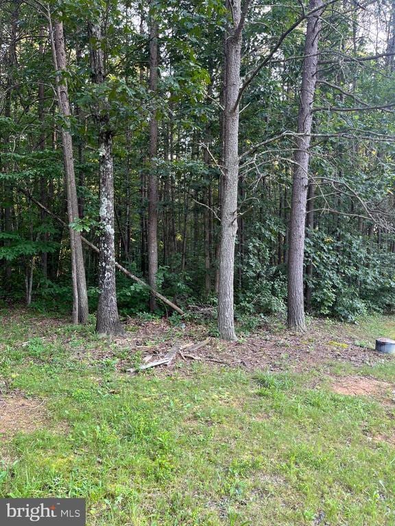 10214 Unique Trl, Rixeyville, VA 22737 - view of wooded area