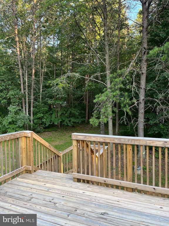 10214 Unique Trl, Rixeyville, VA 22737 - view of deck