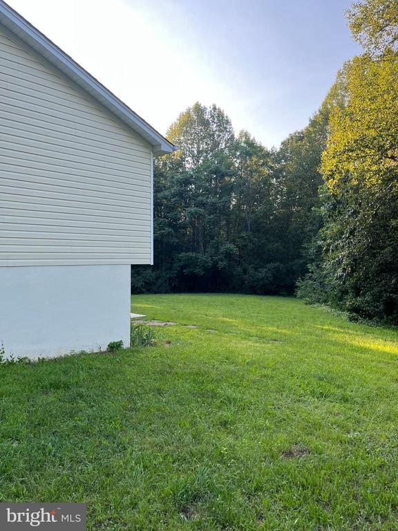10214 Unique Trl, Rixeyville, VA 22737 - view of green lawn