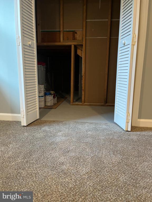 10214 Unique Trl, Rixeyville, VA 22737 - unfurnished bedroom featuring carpet flooring and a closet