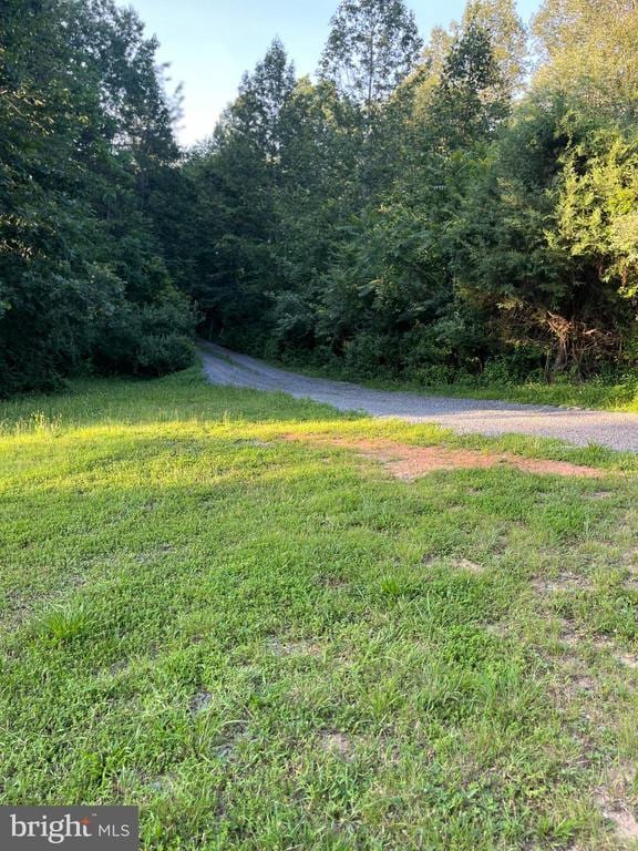 10214 Unique Trl, Rixeyville, VA 22737 - view of street with a wooded view