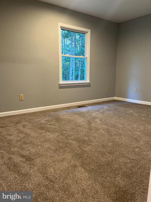 10214 Unique Trl, Rixeyville, VA 22737 - carpeted empty room featuring baseboards