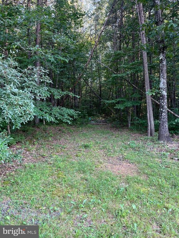 10214 Unique Trl, Rixeyville, VA 22737 - view of yard with a wooded view