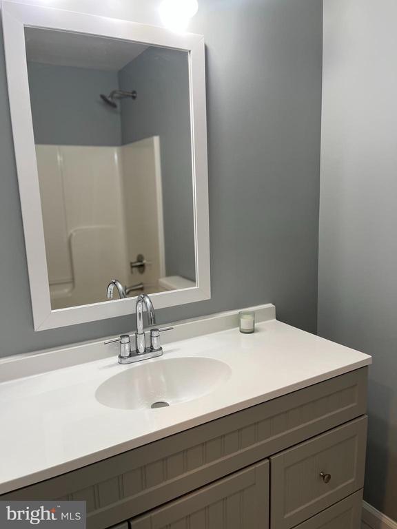 10214 Unique Trl, Rixeyville, VA 22737 - bathroom featuring vanity and bathing tub / shower combination