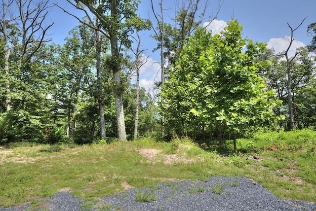 TBD Laurel Ridge Lane, Lyndhurst, VA 22952 - photo 4