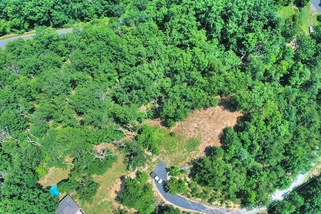 TBD Laurel Ridge Lane, Lyndhurst, VA 22952 - photo 2