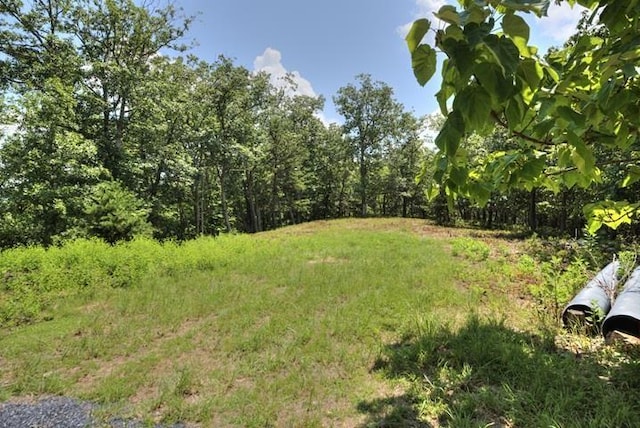 TBD Laurel Ridge Lane, Lyndhurst, VA 22952 - photo 3