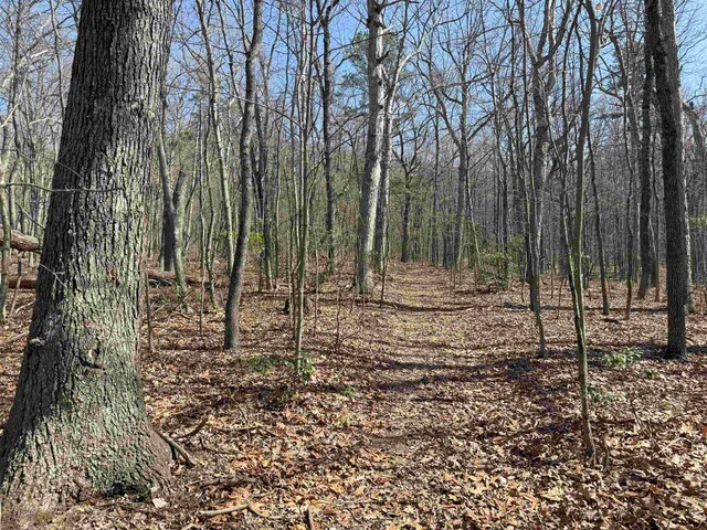 TBD Shotgun Spring Rd, New Market, VA 22844