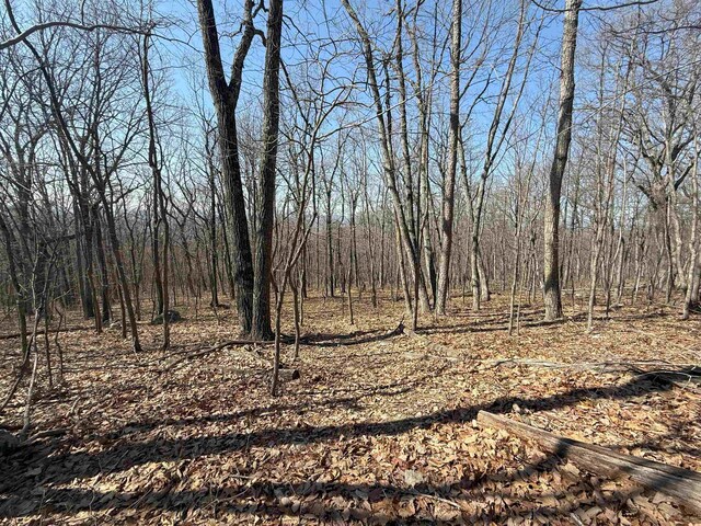TBD Shotgun Spring Rd, New Market, VA 22844