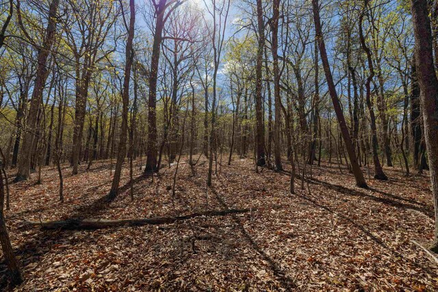 TBD Shotgun Spring Rd, New Market, VA 22844