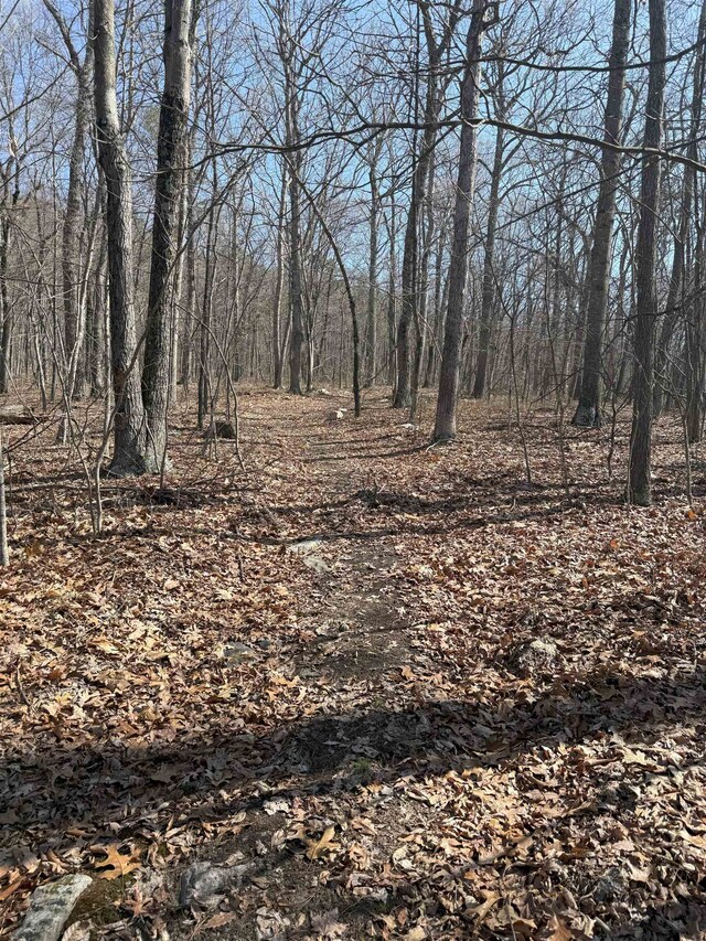 TBD Shotgun Spring Rd, New Market, VA 22844