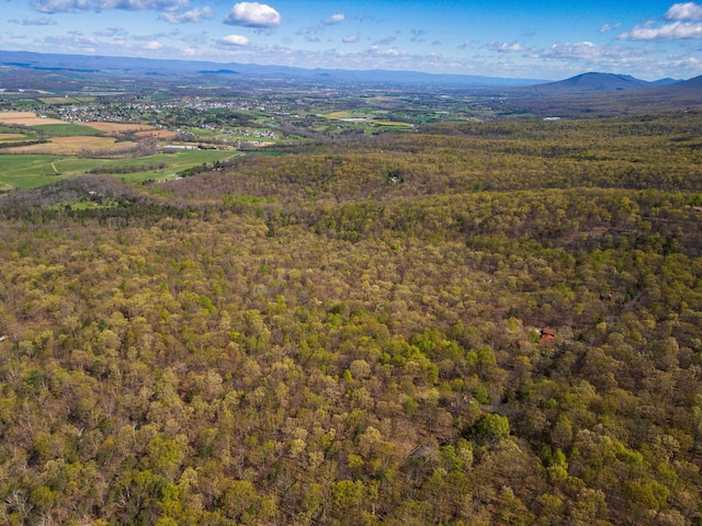 TBD Shotgun Spring Rd, New Market, VA 22844
