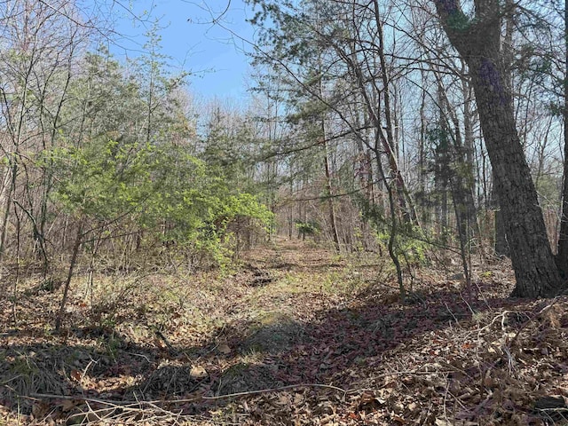 TBD Shotgun Spring Rd, New Market, VA 22844