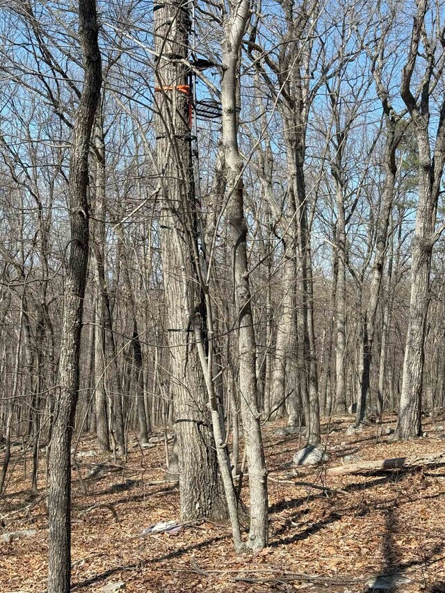 TBD Shotgun Spring Rd, New Market, VA 22844