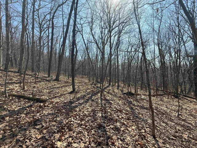 TBD Shotgun Spring Rd, New Market, VA 22844