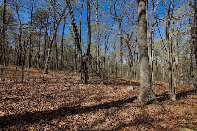 TBD Shotgun Spring Rd, New Market, VA 22844